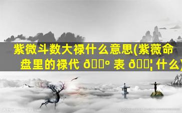 紫微斗数大禄什么意思(紫薇命盘里的禄代 🌺 表 🐦 什么)